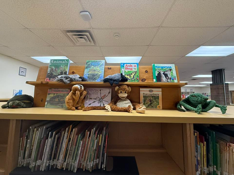Stuffed animals on bookshelves next to books about wildlife