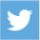 twitter logo